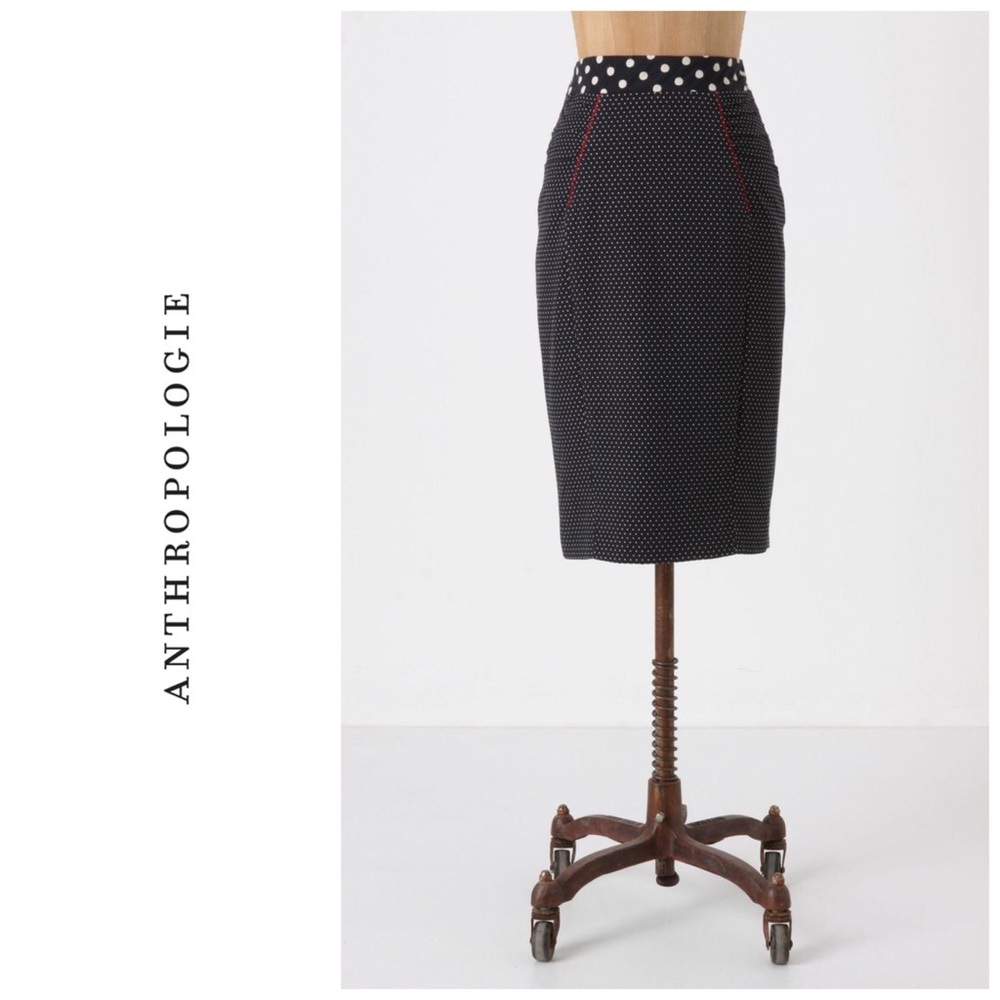 Rare Anthropologie Cultural Heritage skirt